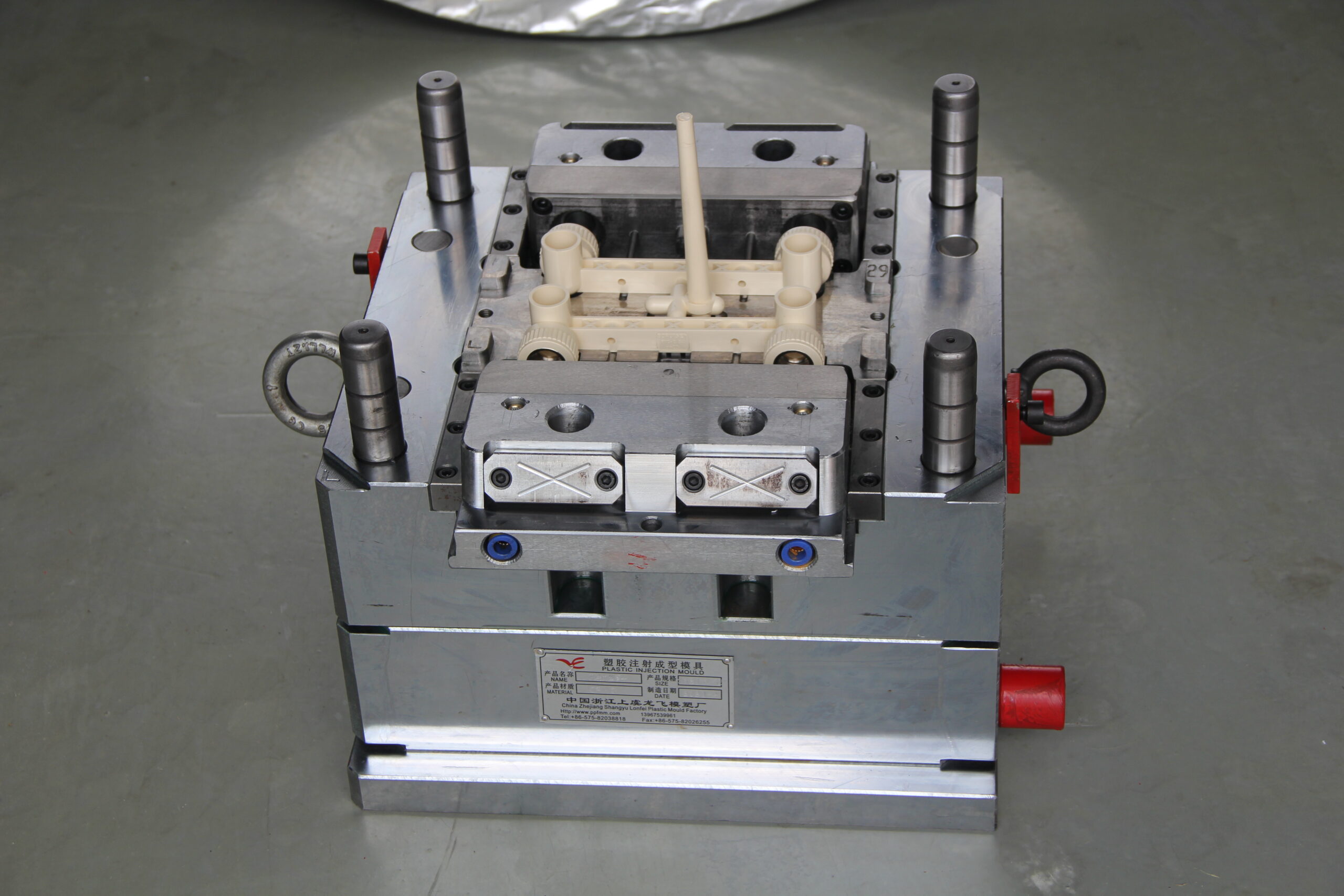project-2 img 6864